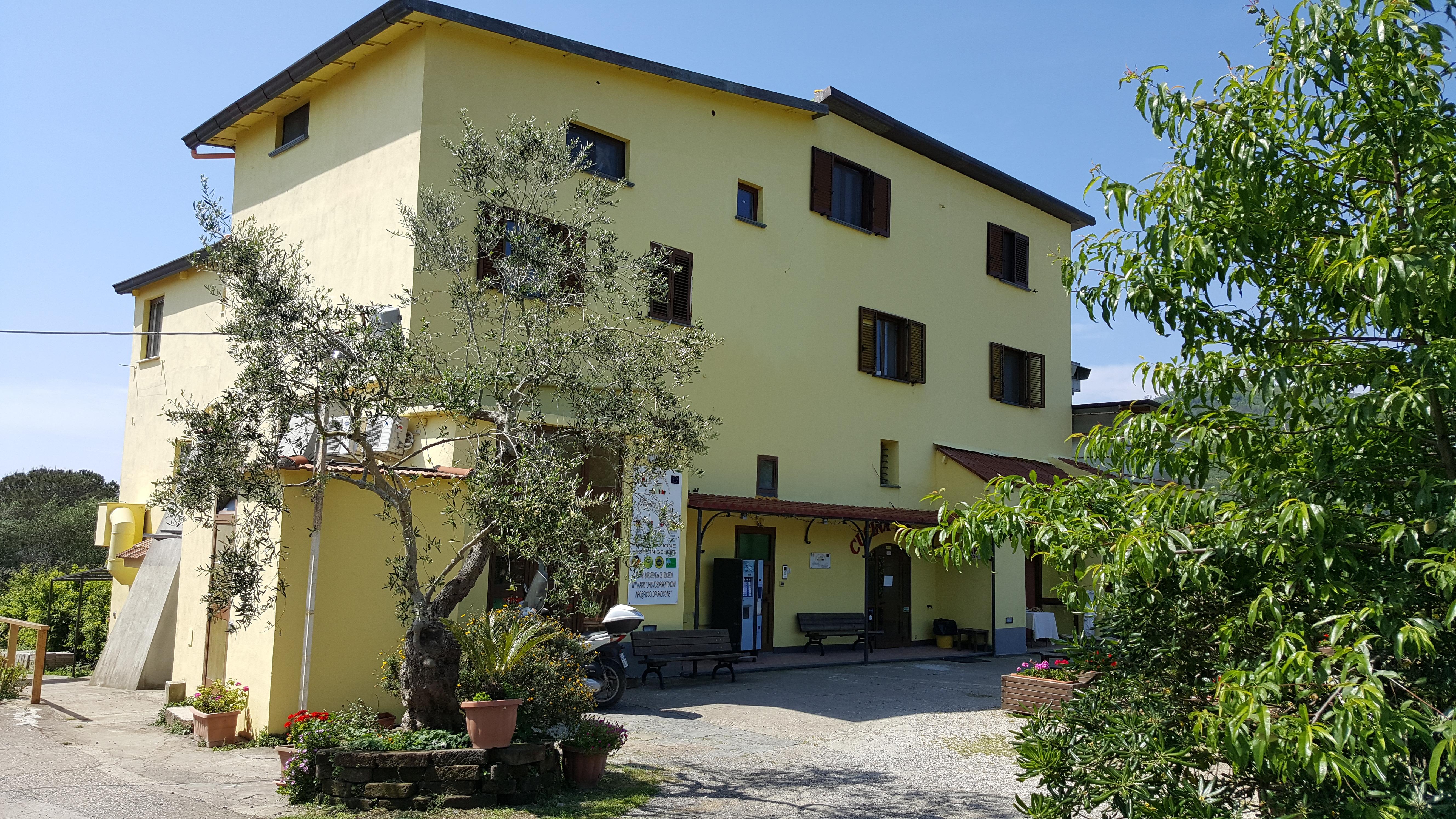 Agriturismo Piccolo Paradiso Piano di Sorrento Exteriör bild