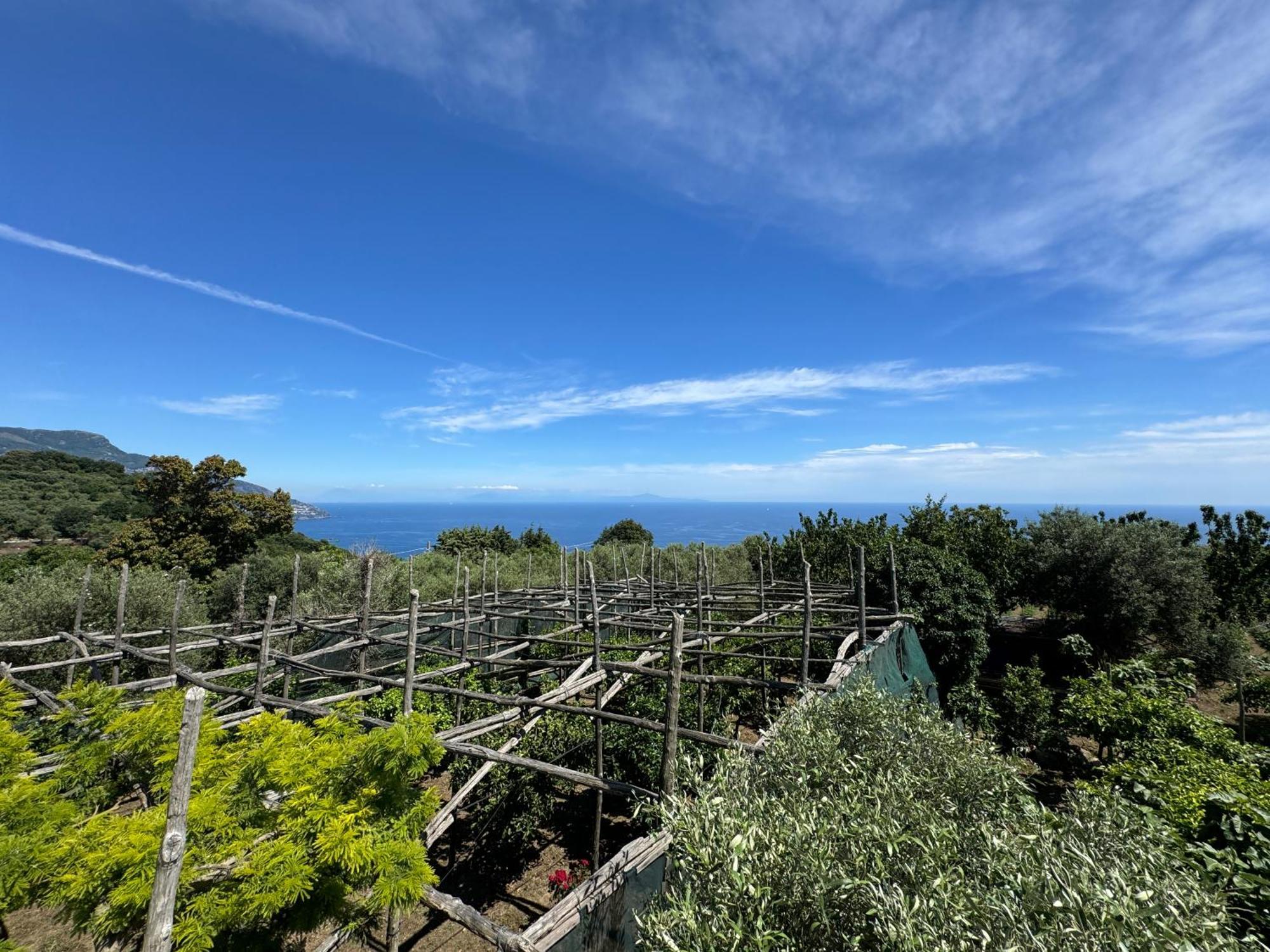 Agriturismo Piccolo Paradiso Piano di Sorrento Exteriör bild