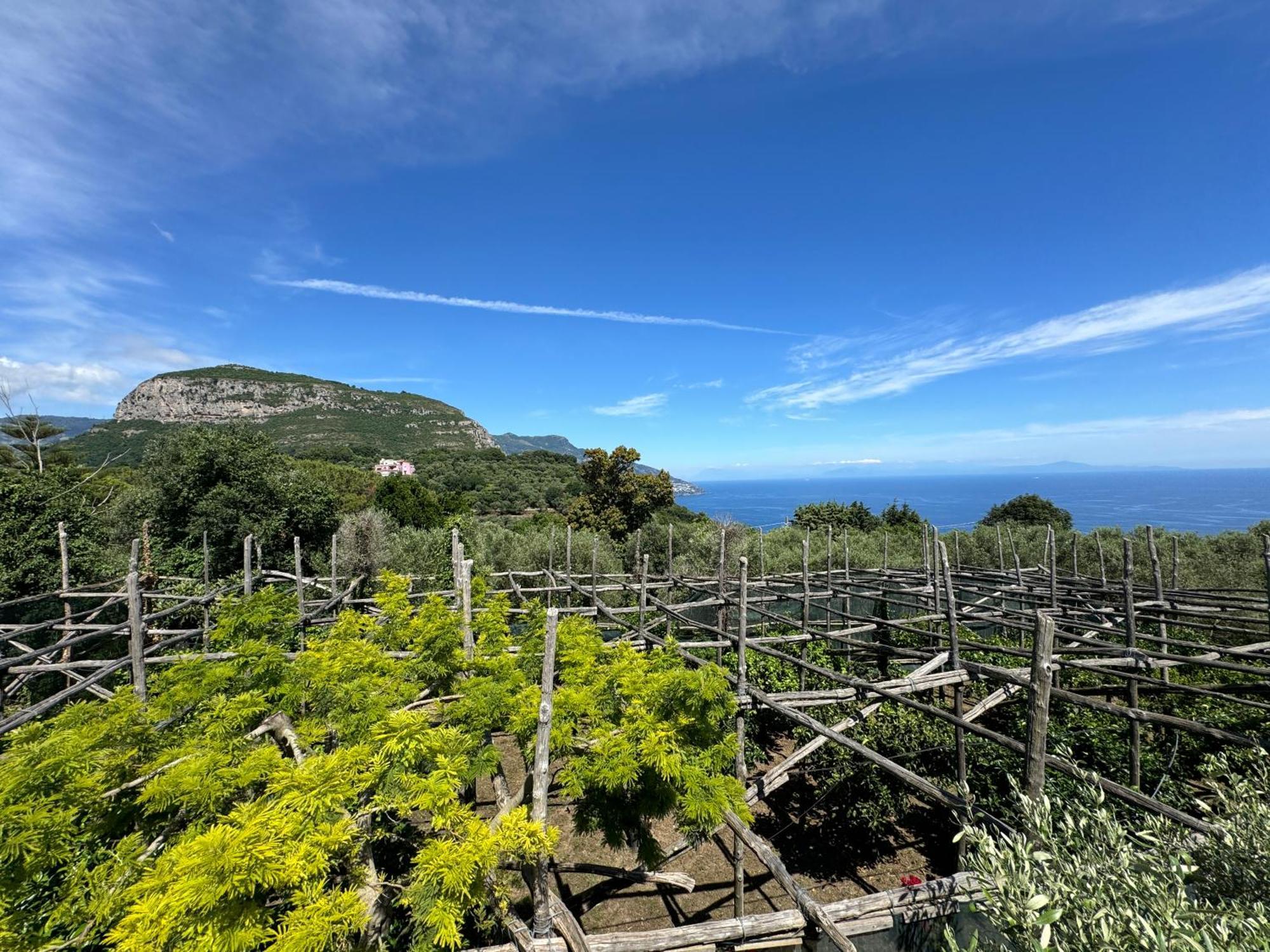 Agriturismo Piccolo Paradiso Piano di Sorrento Exteriör bild