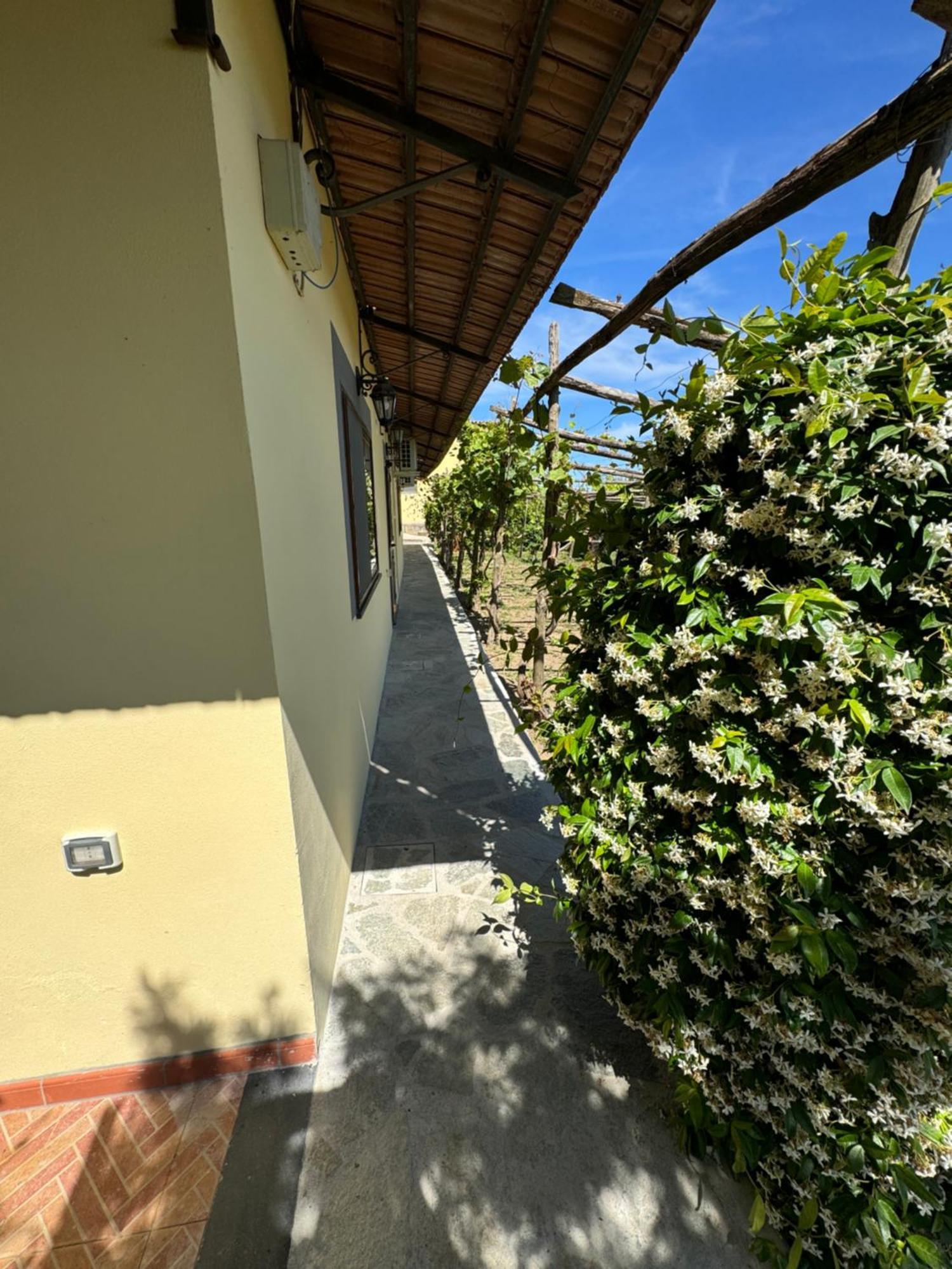 Agriturismo Piccolo Paradiso Piano di Sorrento Exteriör bild