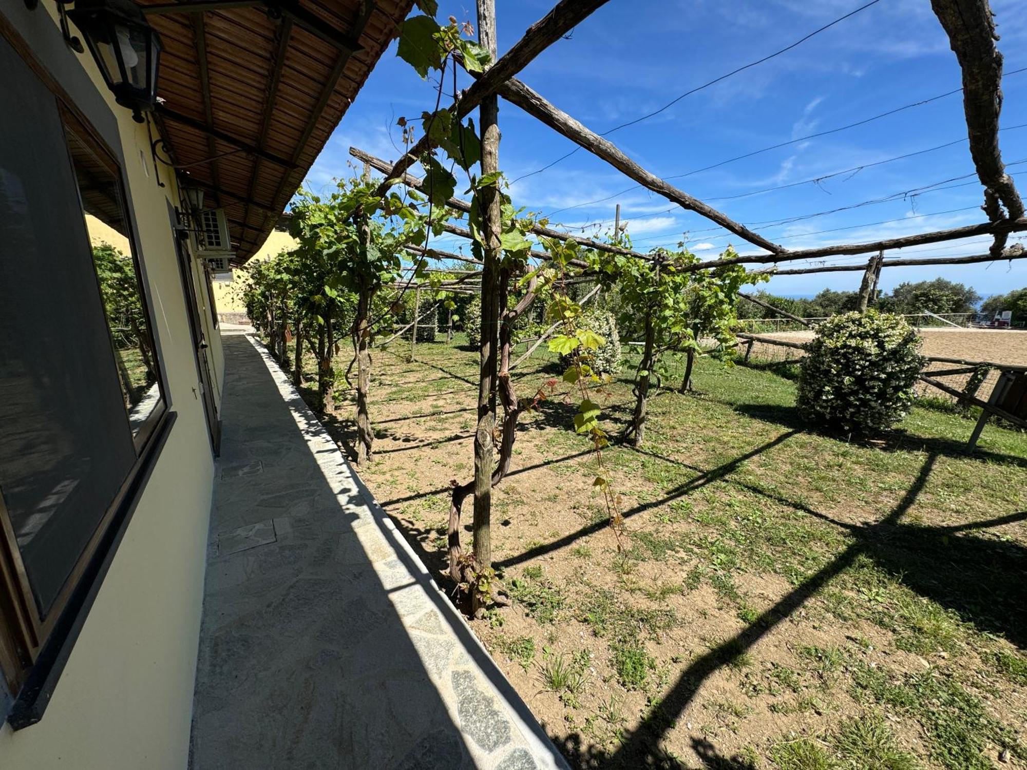 Agriturismo Piccolo Paradiso Piano di Sorrento Exteriör bild