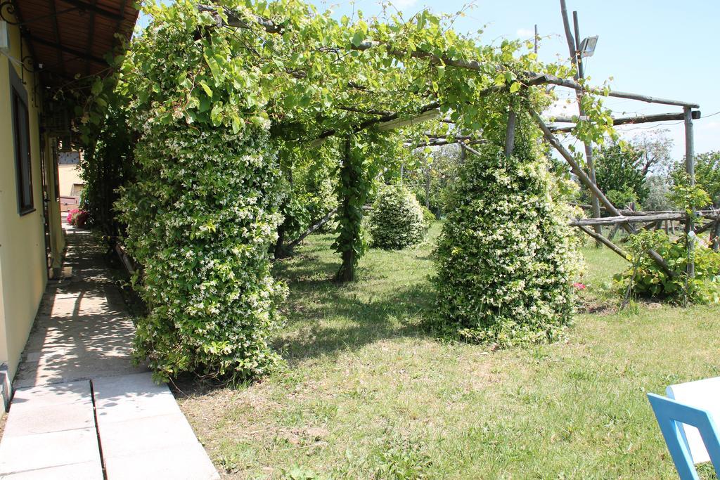 Agriturismo Piccolo Paradiso Piano di Sorrento Exteriör bild