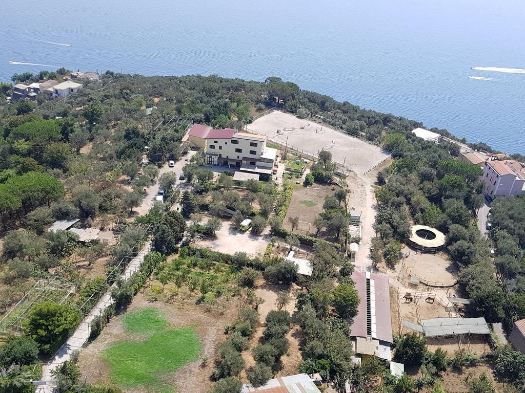 Agriturismo Piccolo Paradiso Piano di Sorrento Exteriör bild