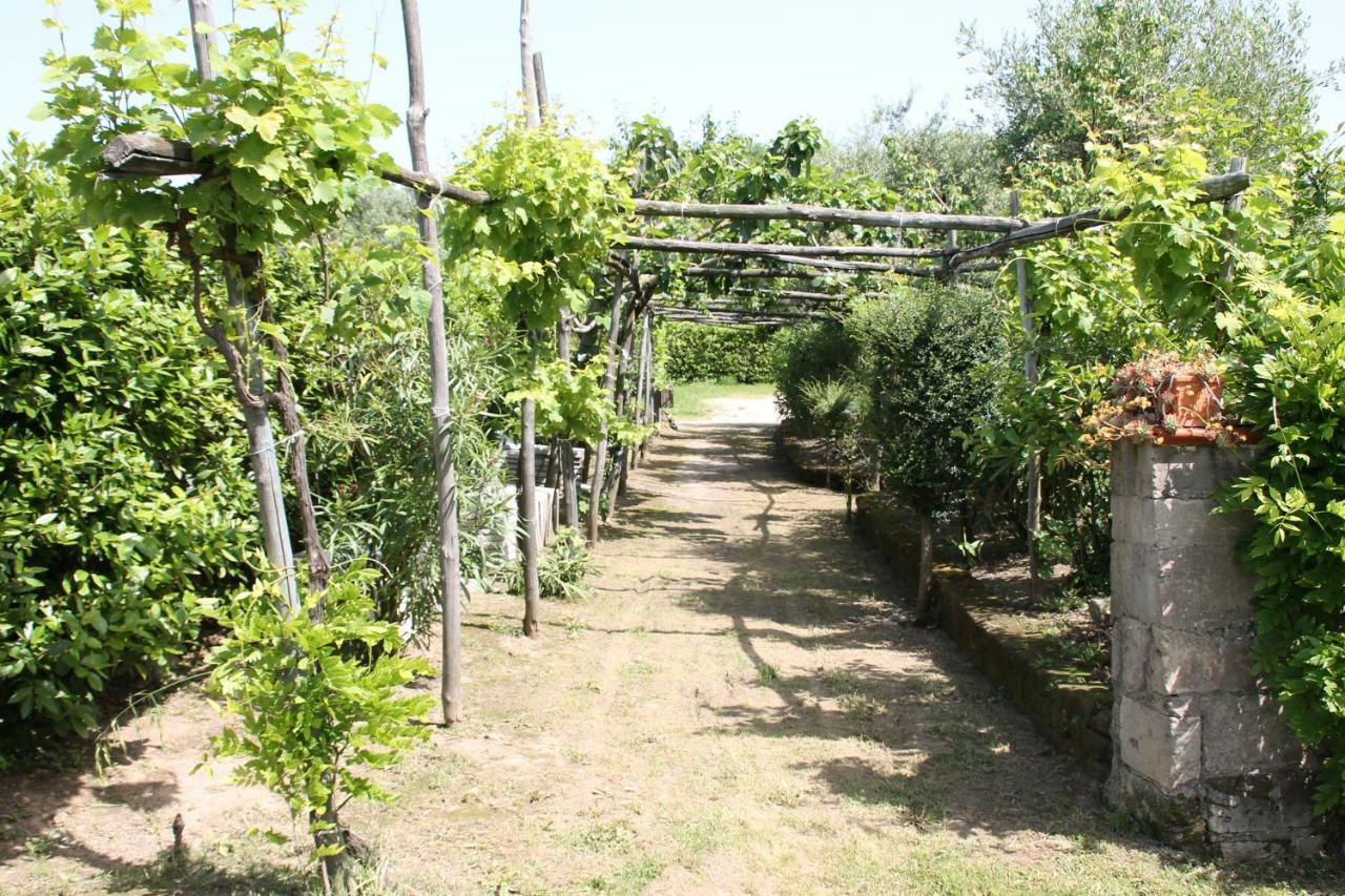 Agriturismo Piccolo Paradiso Piano di Sorrento Exteriör bild